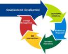 Organization_Development