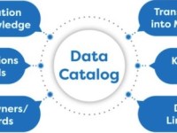 Mastering Data Cataloguing: A Comprehensive Guide for Modern&nbsp;Businesses