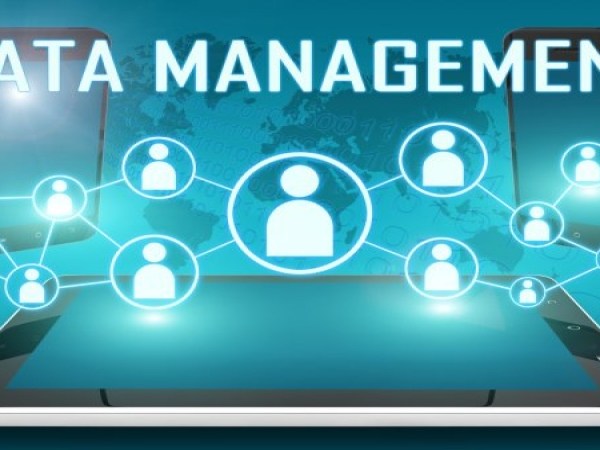 A Concise Guide to Key Data Management Components and Their Interdependencies in the Data&nbsp;Lifecycle